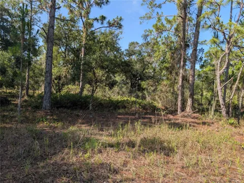 819 & 821 ALLAMANDA DRIVE