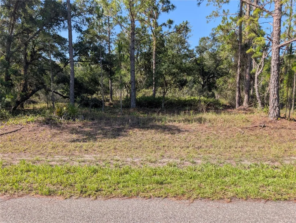 819 & 821 ALLAMANDA DRIVE Indian Lake Estates, FL 33855