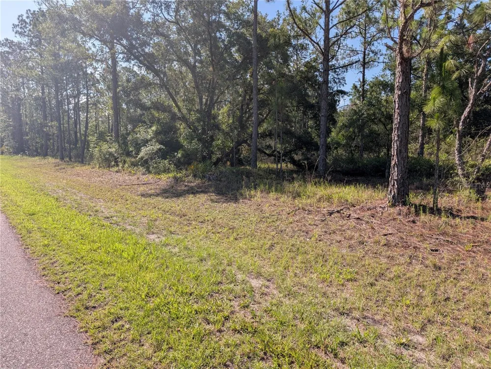 819 & 821 ALLAMANDA DRIVE Indian Lake Estates, FL 33855