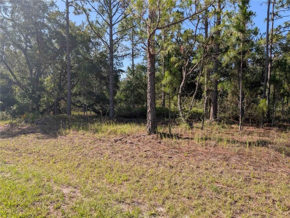 819 & 821 ALLAMANDA DRIVE Indian Lake Estates, FL 33855
