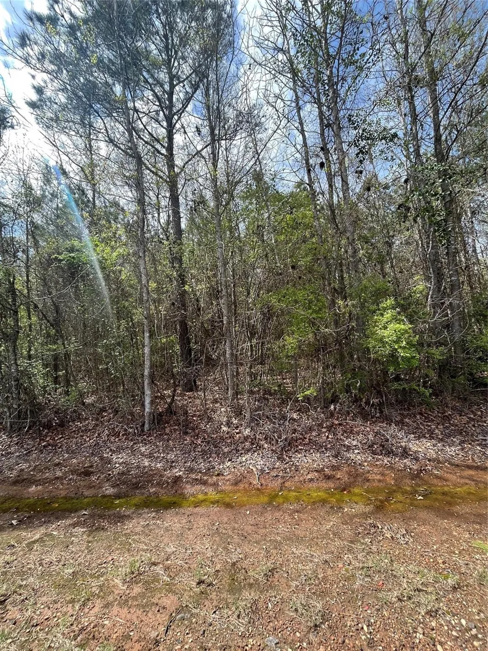 Crouch Road #2 Benton, LA 71006