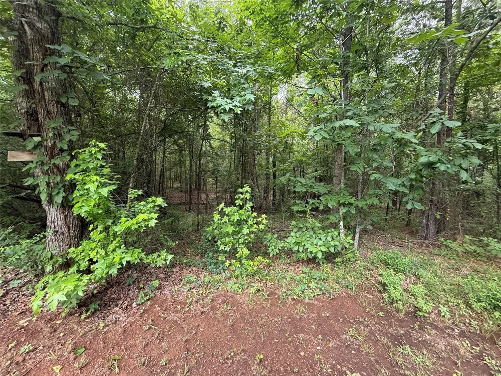 Crouch Road #2 Benton, LA 71006