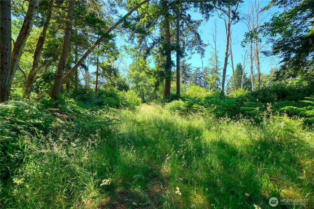 297 Marine Drive Point Roberts, WA 98281