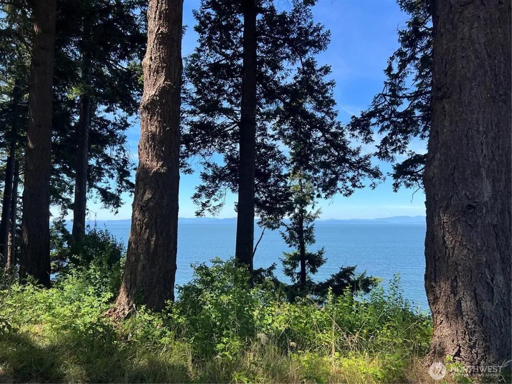 297 Marine Drive Point Roberts, WA 98281
