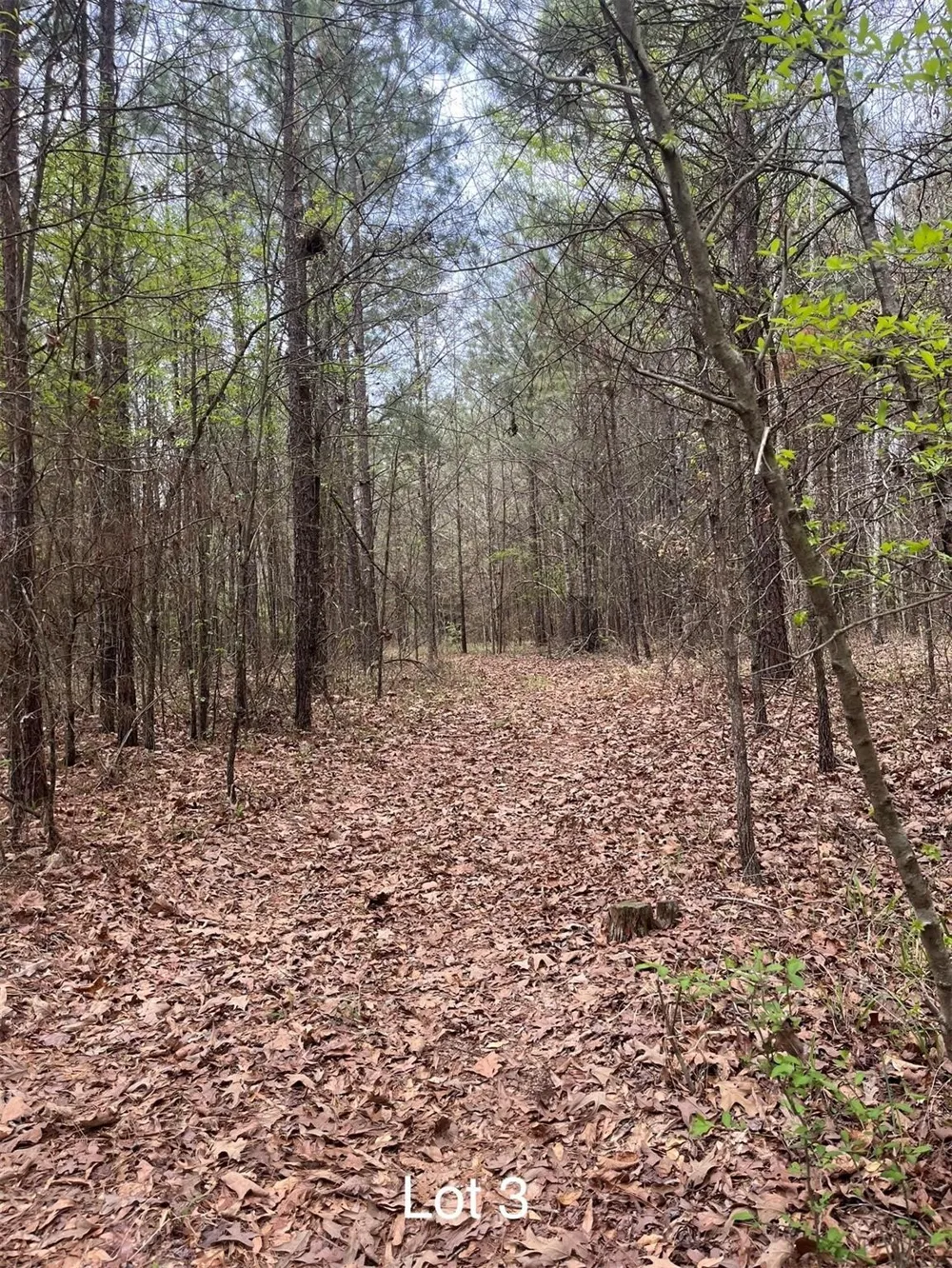 Crouch Road #3 Benton, LA 71006