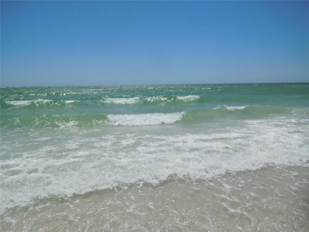 7 ELGIN PLACE #508 Dunedin, FL 34698