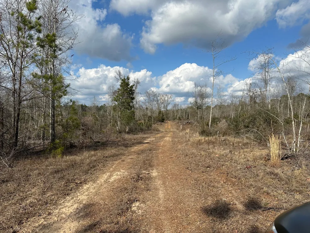 102 Ryan's Way Minden, LA 71055