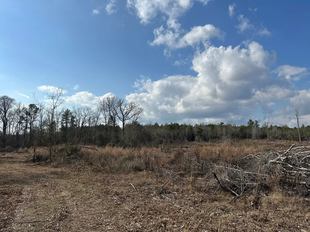 102 Ryan's Way Minden, LA 71055