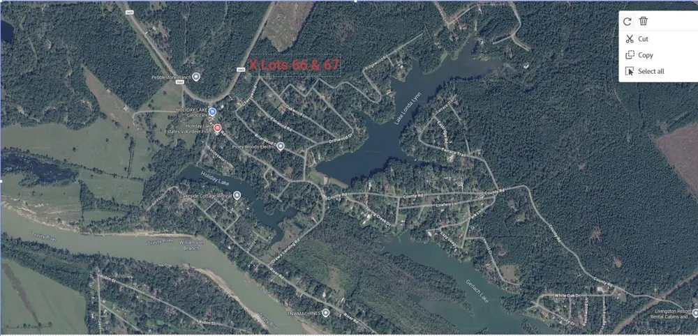 Fm 2665 Goodrich, TX 77335