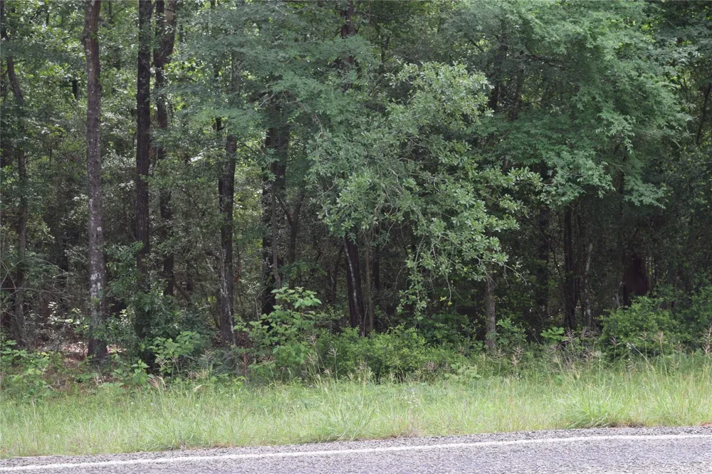 Fm 2665 Goodrich, TX 77335
