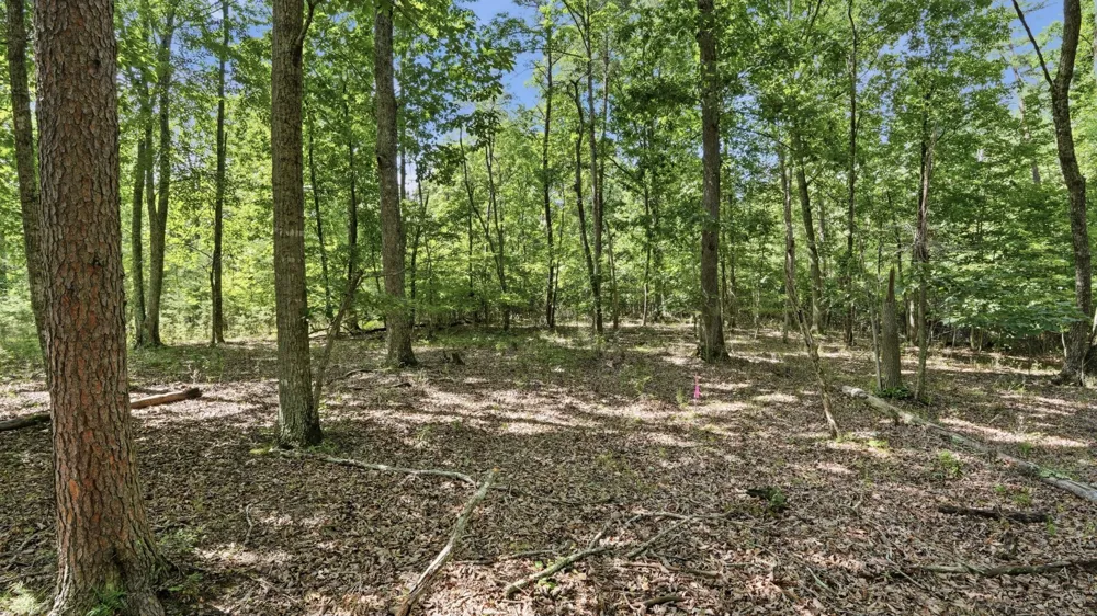 0 Eagle Crest Circle Monteagle, TN 37356