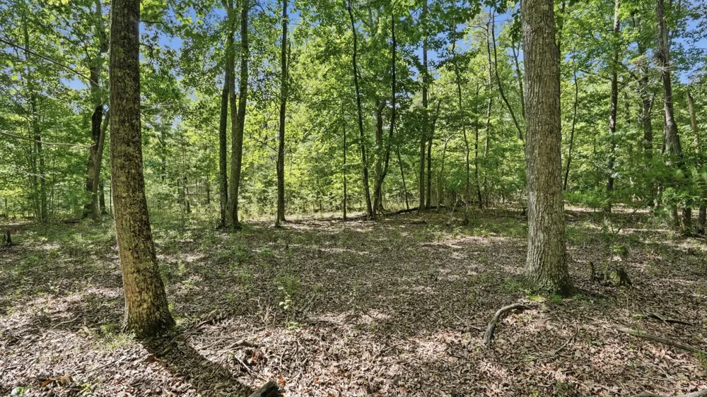 0 Eagle Crest Circle Monteagle, TN 37356
