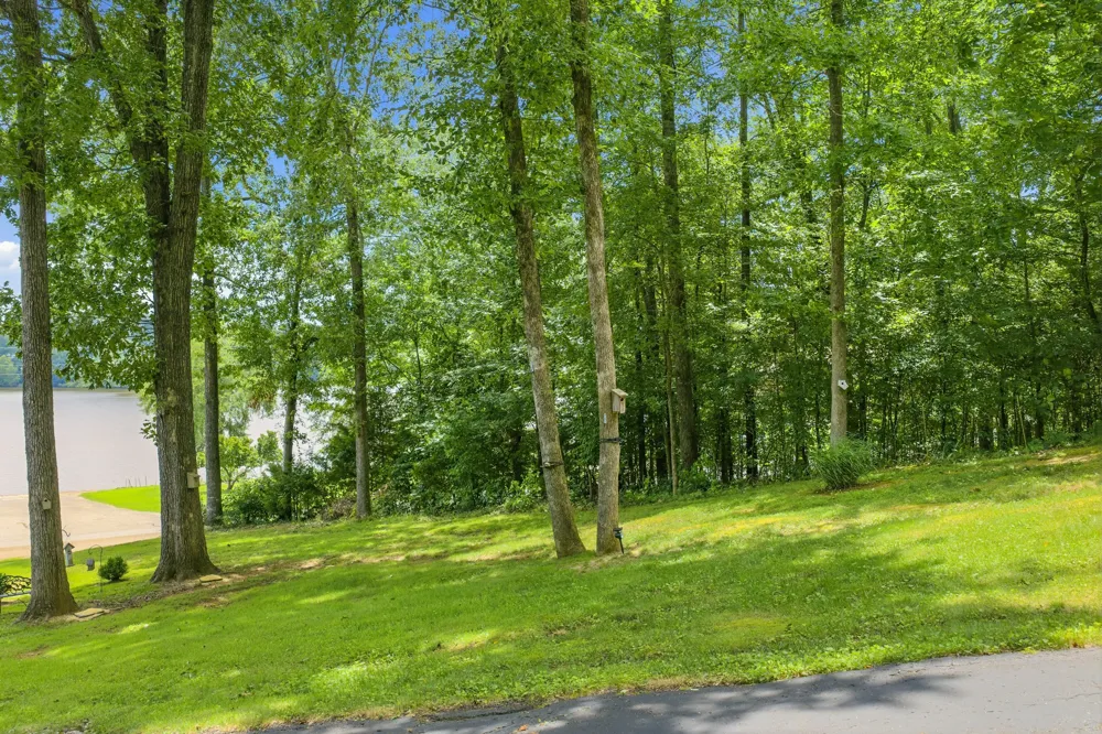 300 Featherfoot Parkway Loop Parsons, TN 38363