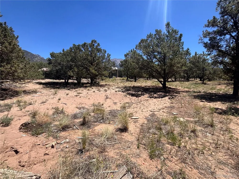 360 Camino Baca Grande Crestone, CO 81131