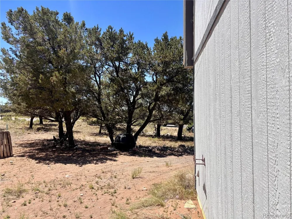 360 Camino Baca Grande Crestone, CO 81131