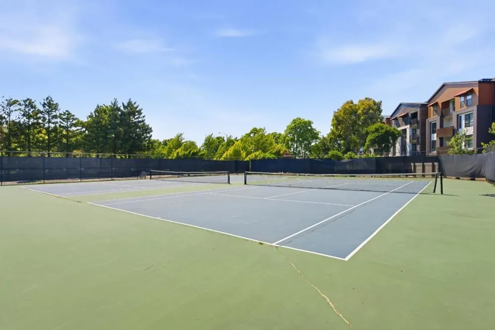 905 W Middlefield Road #972 Mountain View, CA 94043