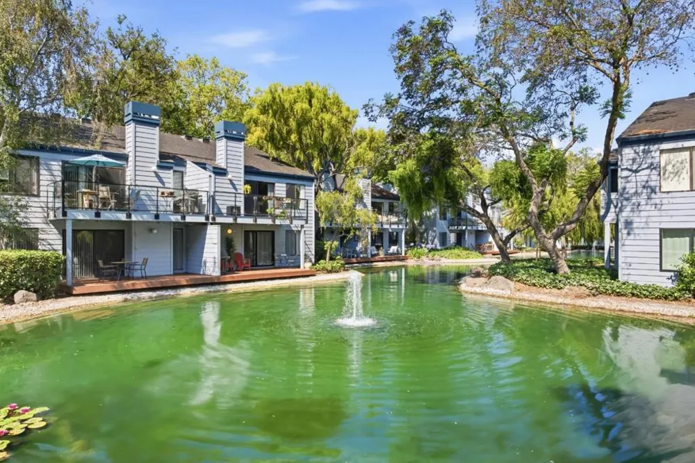 905 W Middlefield Road #972 Mountain View, CA 94043