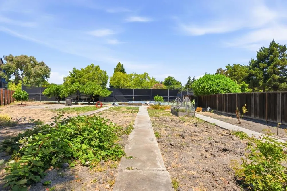 905 W Middlefield Road #972 Mountain View, CA 94043