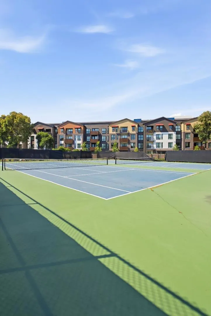 905 W Middlefield Road #972 Mountain View, CA 94043