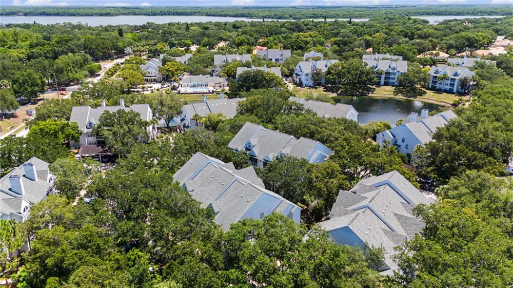 3266 HAVILAND COURT #303 Palm Harbor, FL 34684