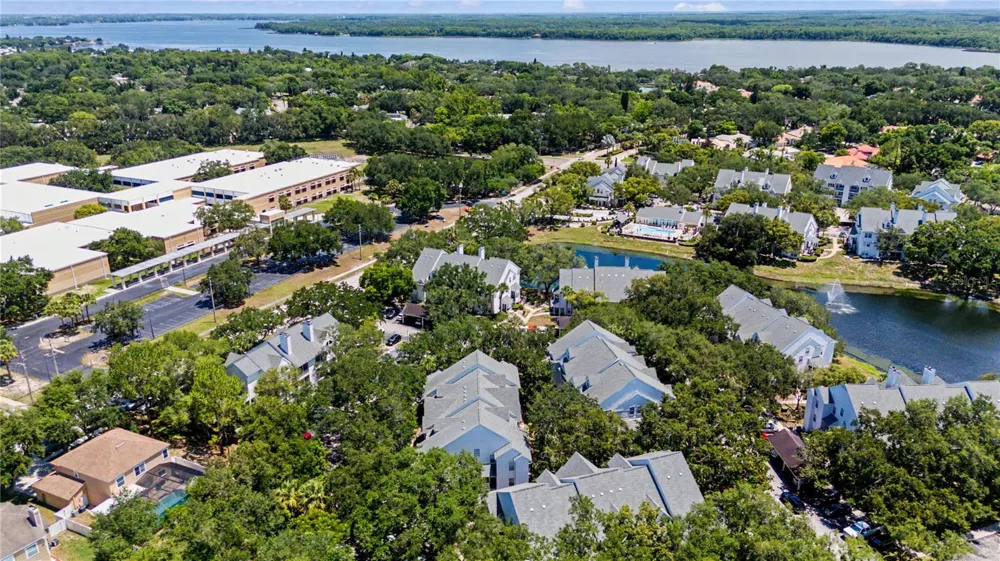 3266 HAVILAND COURT #303 Palm Harbor, FL 34684