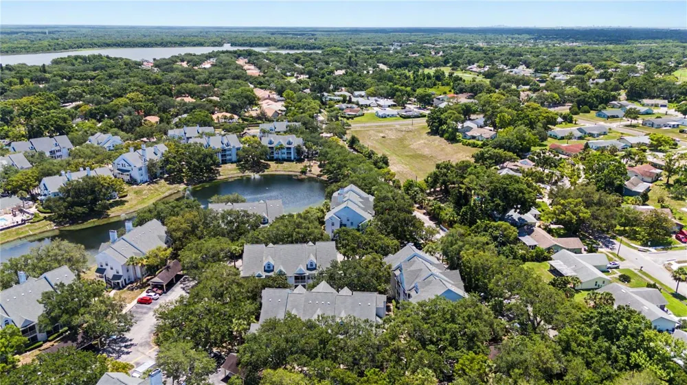 3266 HAVILAND COURT #303 Palm Harbor, FL 34684