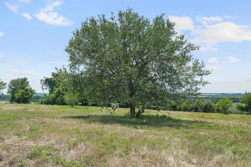 13041 Seydler Road Weimar, TX 78962