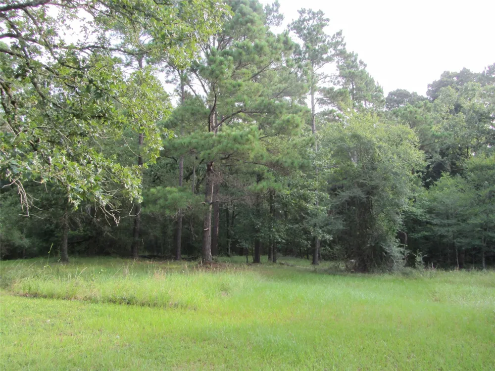 53 Brumley Road Huntsville, TX 77320