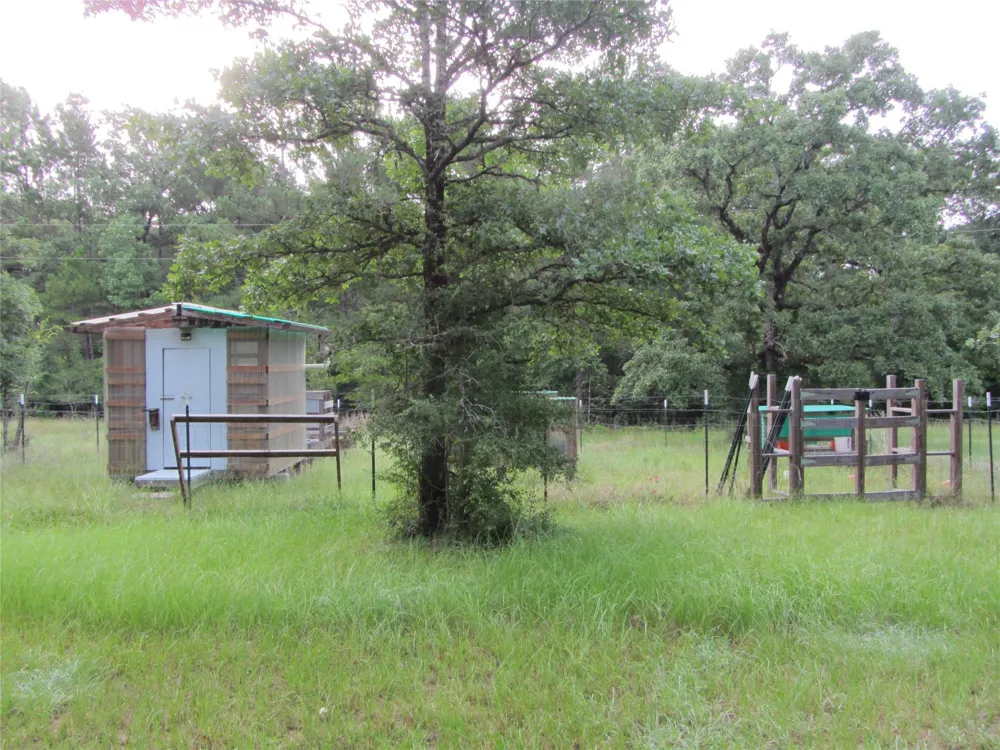 53 Brumley Road Huntsville, TX 77320