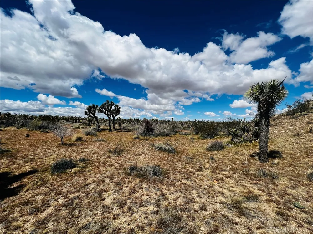 57864 Sunflower Drive Yucca Valley, CA 92284