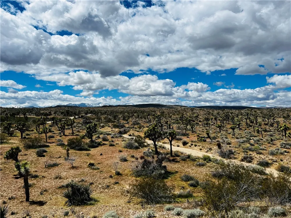 57864 Sunflower Drive Yucca Valley, CA 92284