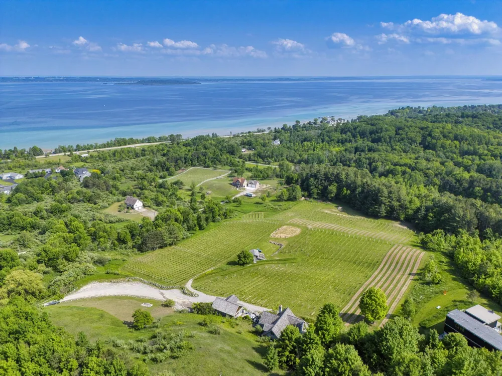 10702 E Hilltop Road Bingham Township, MI 49682