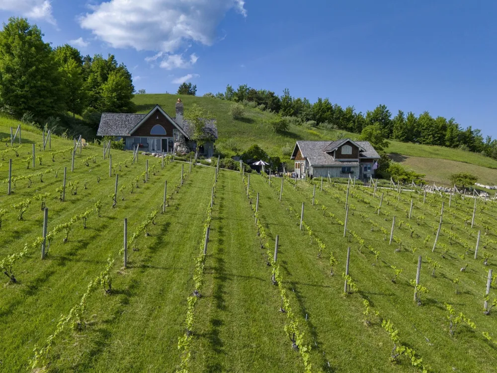 10702 E Hilltop Road Bingham Township, MI 49682