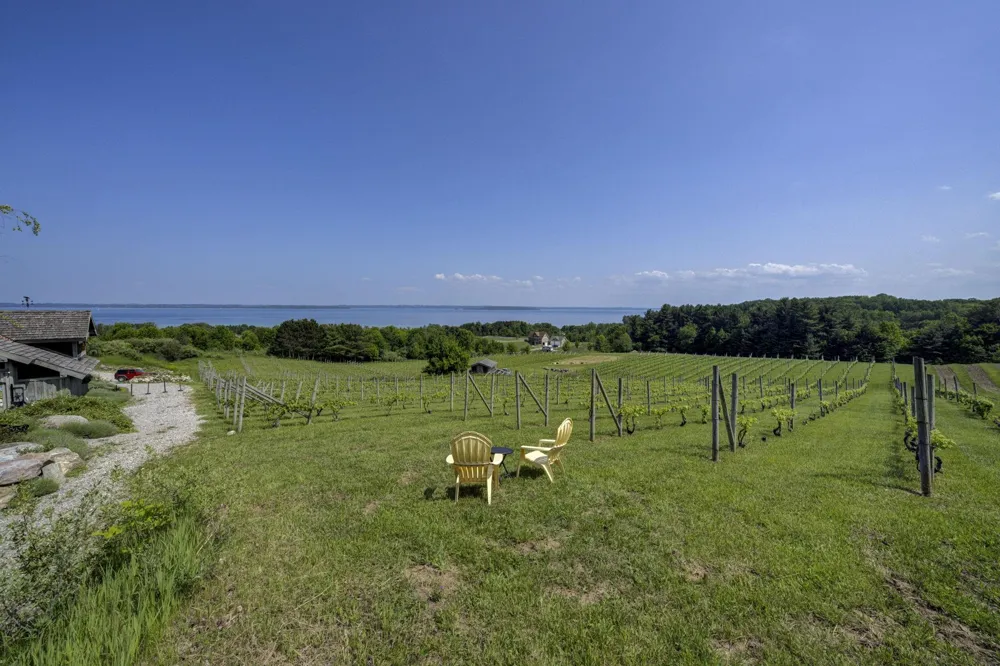 10702 E Hilltop Road Bingham Township, MI 49682