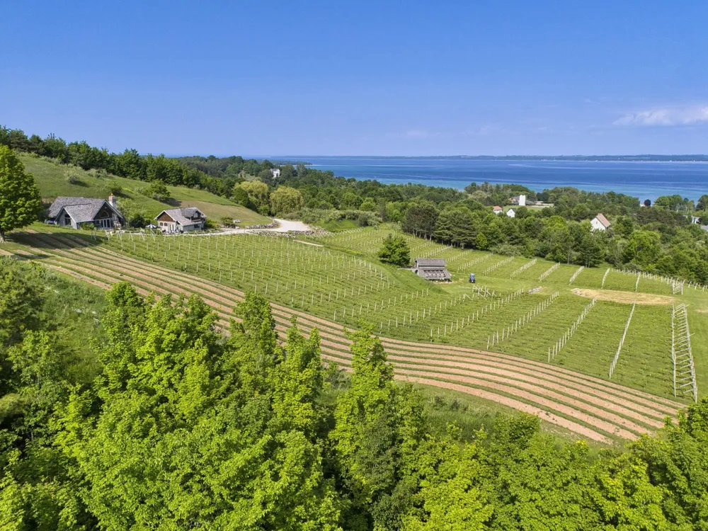 10702 E Hilltop Road Bingham Township, MI 49682