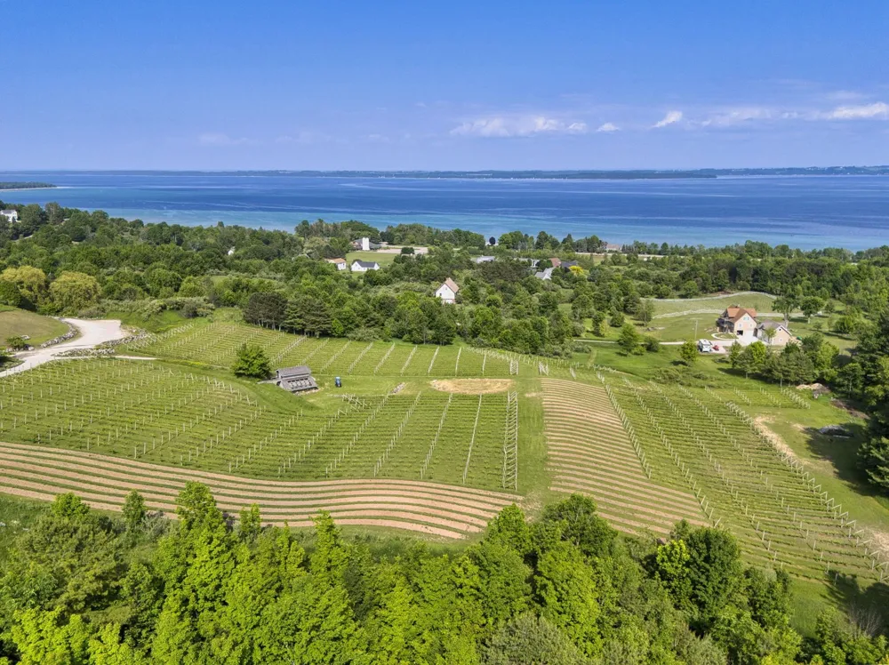 10702 E Hilltop Road Bingham Township, MI 49682