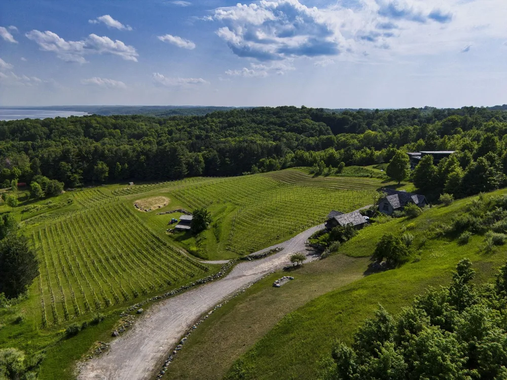 10702 E Hilltop Road Bingham Township, MI 49682