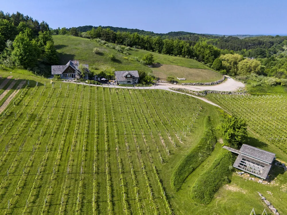 10702 E Hilltop Road Bingham Township, MI 49682