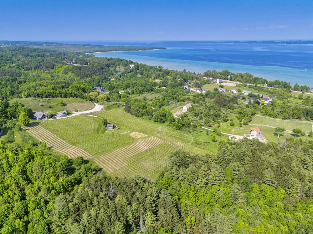 10702 E Hilltop Road Bingham Township, MI 49682