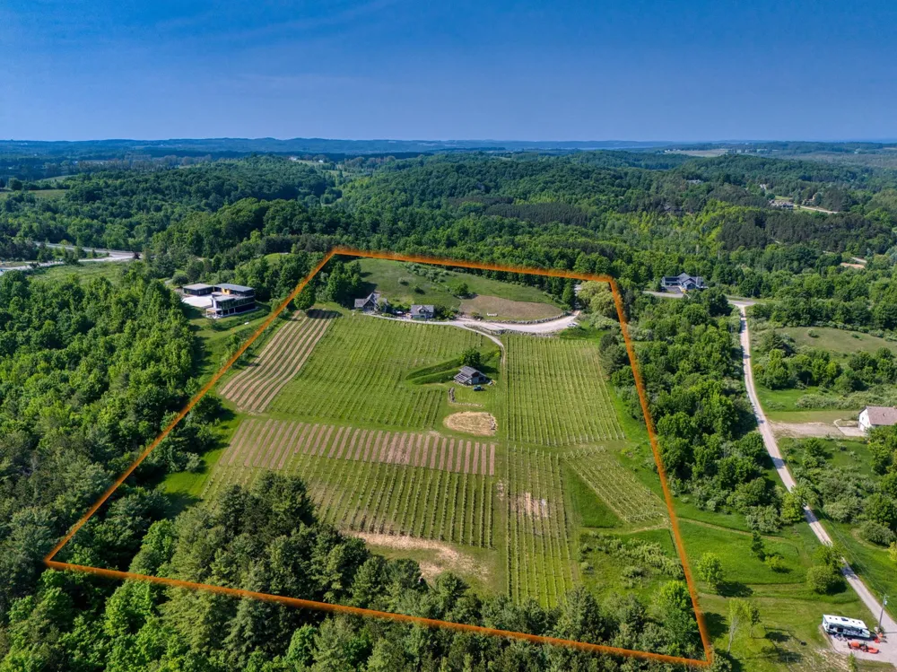 10702 E Hilltop Road Bingham Township, MI 49682