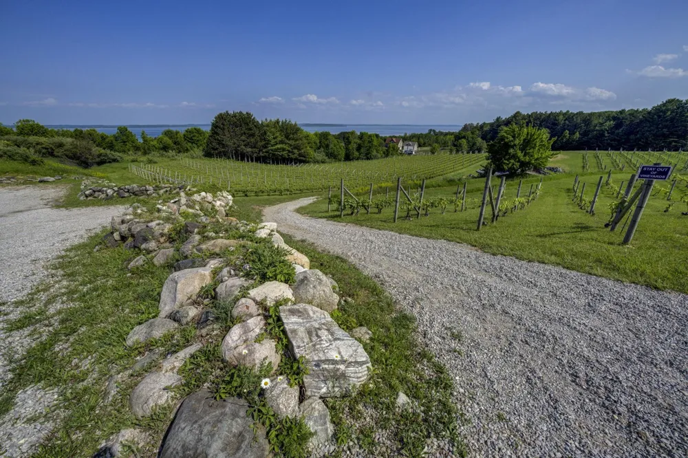 10702 E Hilltop Road Bingham Township, MI 49682