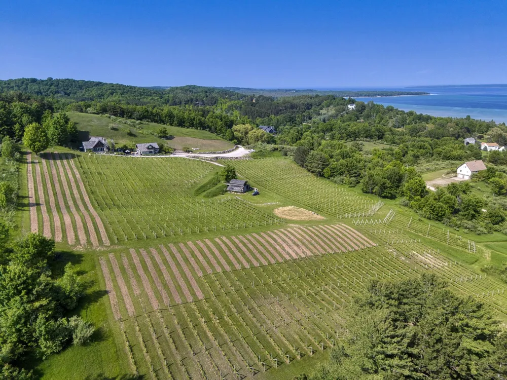 10702 E Hilltop Road Bingham Township, MI 49682