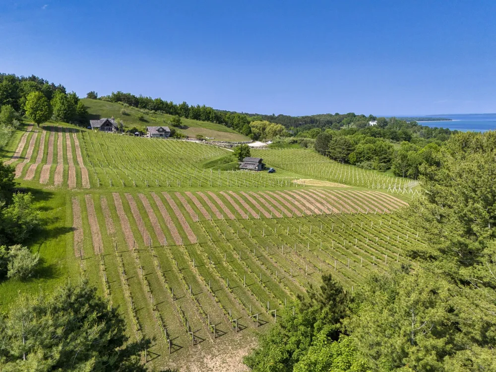 10702 E Hilltop Road Bingham Township, MI 49682
