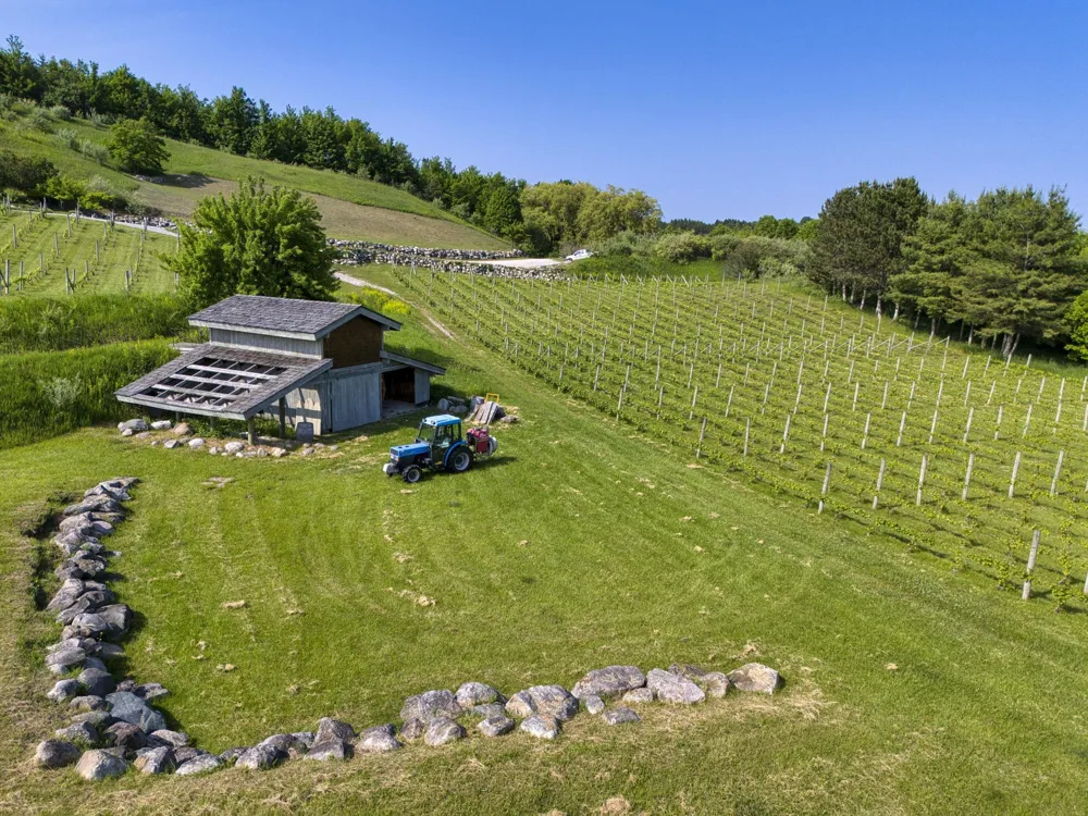 10702 E Hilltop Road Bingham Township, MI 49682