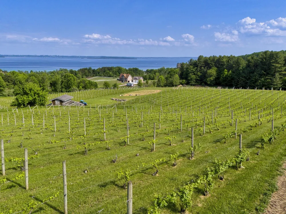 10702 E Hilltop Road Bingham Township, MI 49682