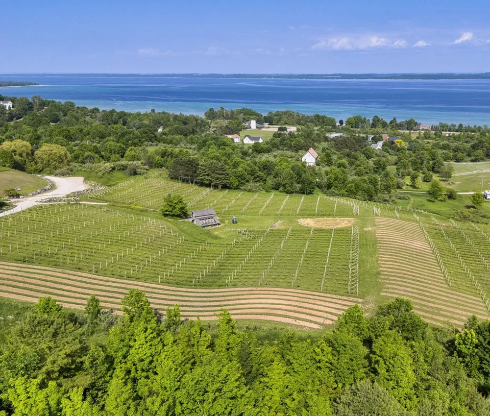 10702 E Hilltop Road Bingham Township, MI 49682