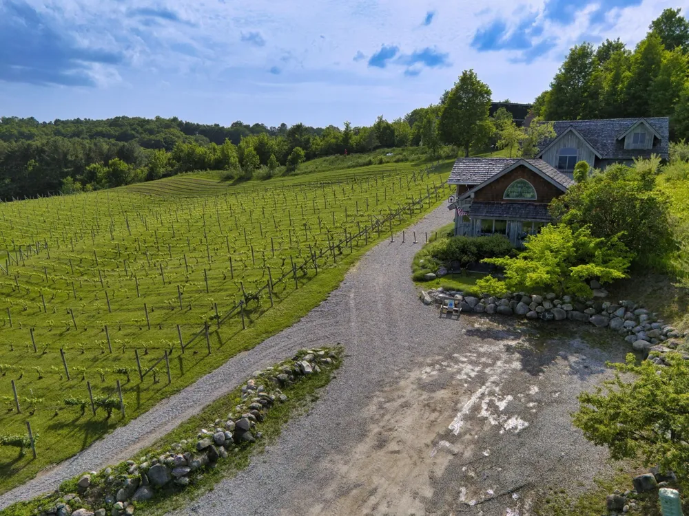 10702 E Hilltop Road Bingham Township, MI 49682