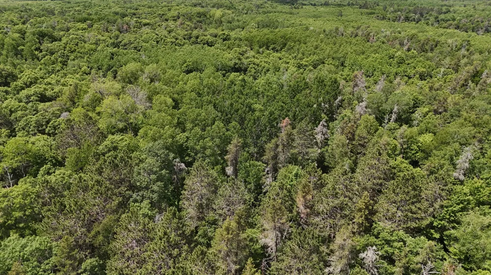 12997 E Mail Road Gordon, WI 54838