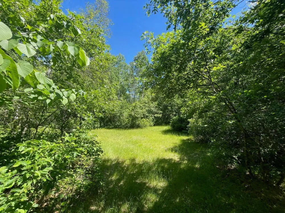 12997 E Mail Road Gordon, WI 54838