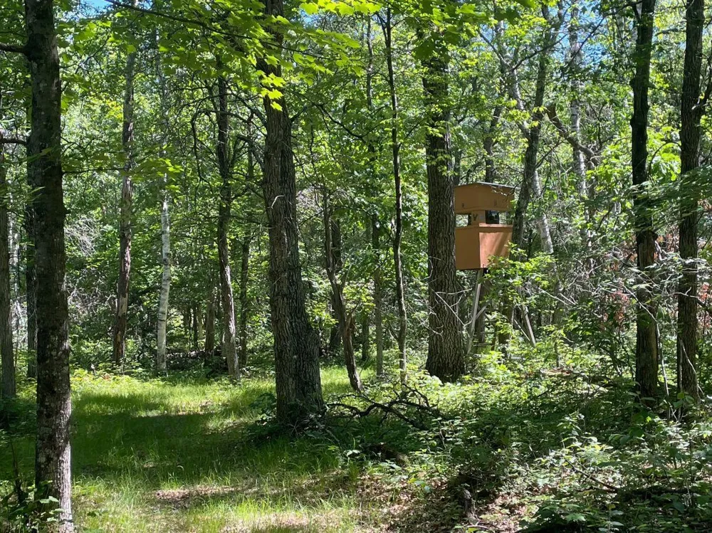 12997 E Mail Road Gordon, WI 54838
